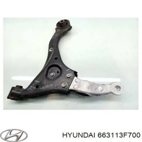 663113F700 Hyundai/Kia Переднє ліве крило