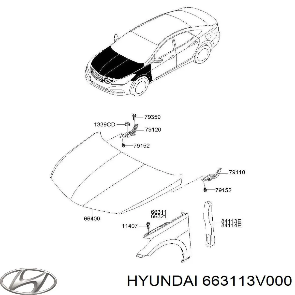 663113V000 Hyundai/Kia Переднє ліве крило