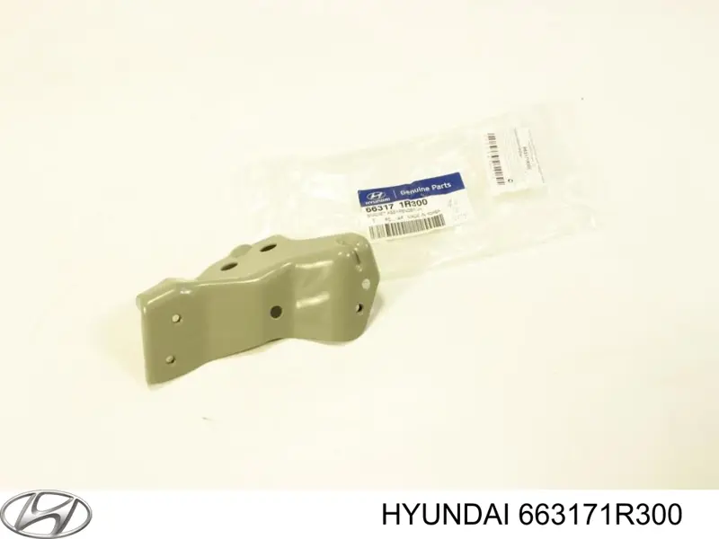 Кронштейн кріплення крила переднього лівого, передній Hyundai/Kia 663171R300 ціна, від 11.51 USD