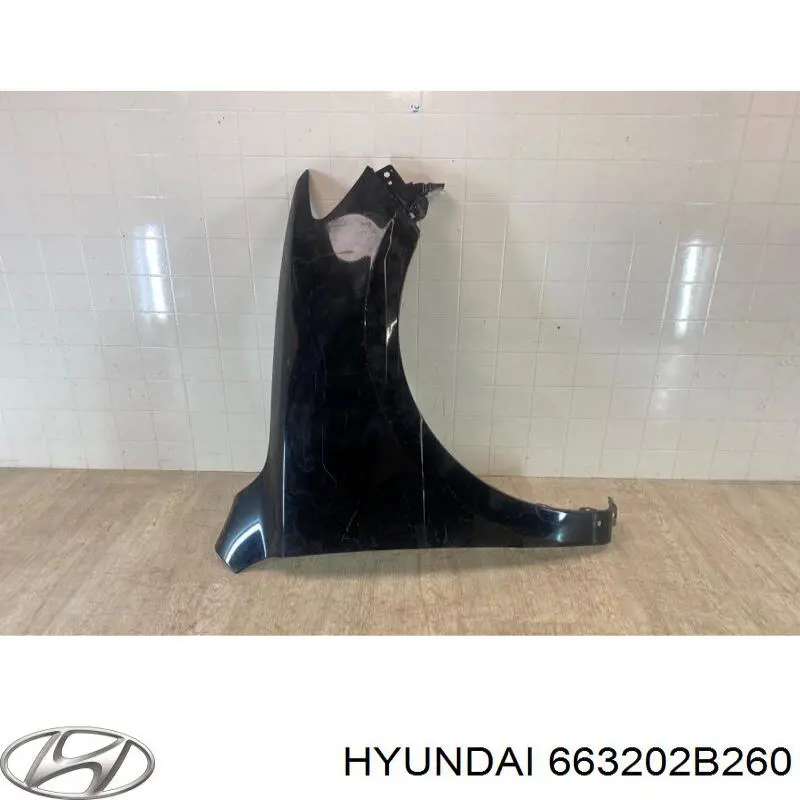 Купити 663202B260 Hyundai/Kia Крила