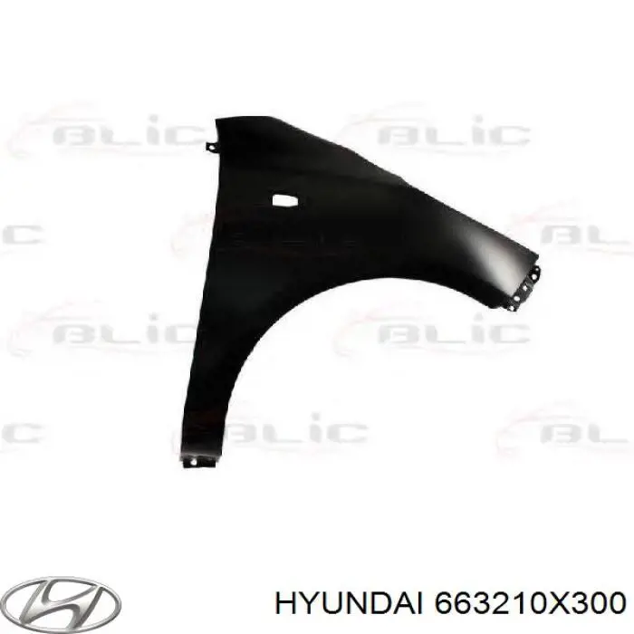 Купити 663210X300 Hyundai/Kia Крила