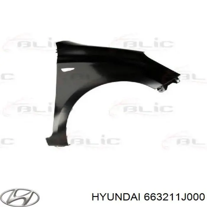 Купити 663211J000 Hyundai/Kia Крила