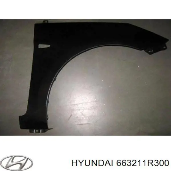 Крило переднє праве TYG HN10053BL ціна, від 117.93 USD