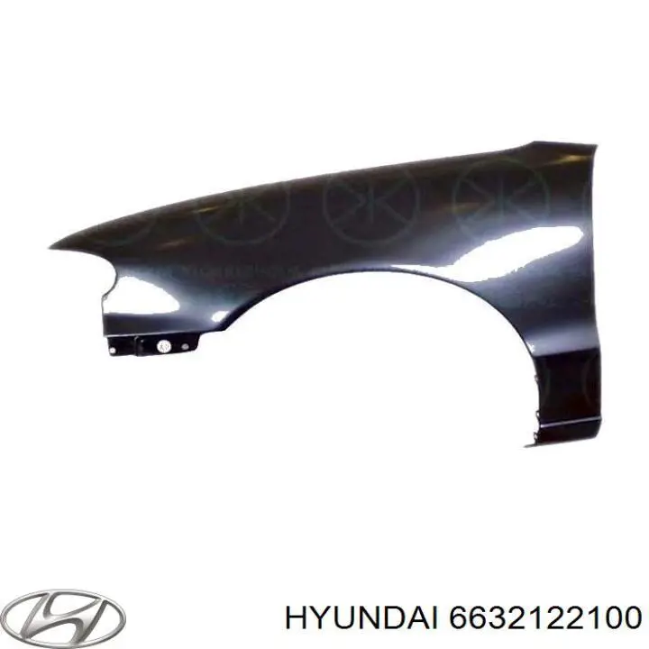 6632122100 Hyundai/Kia Крило переднє праве