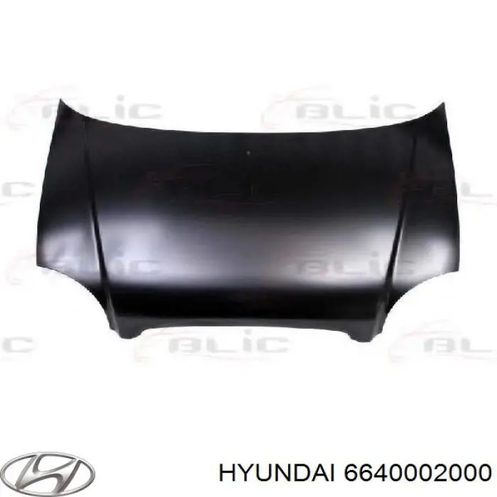 Капот Hyundai/Kia 6640002000 ціна, від 28.93 USD