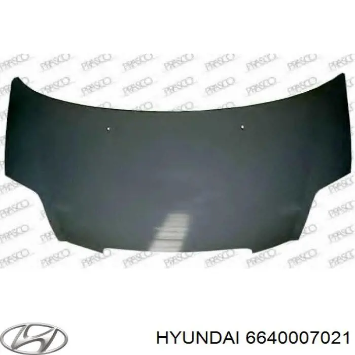 Капот Hyundai/Kia 6640007021 ціна, від 101.44 USD