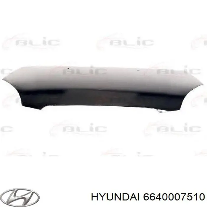 Купити 6640007510 Hyundai/Kia Капот
