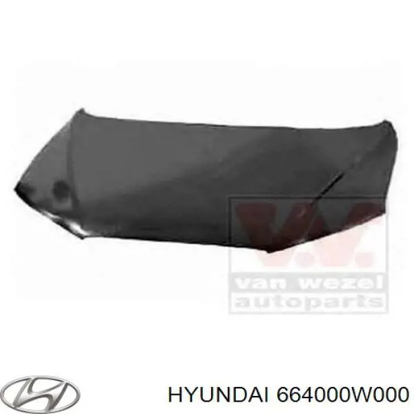 Купити Капот Hyundai Santa Fe II CM