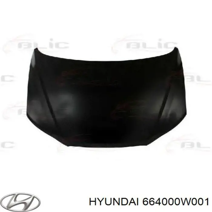 Капот Hyundai/Kia 664000W001 ціна, від 379.95 USD