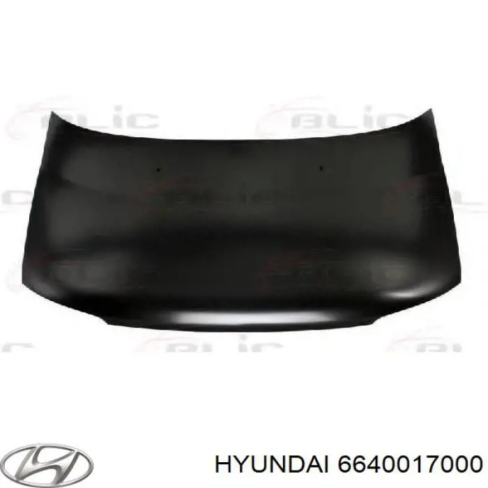Капот Hyundai/Kia 6640017000 ціна, від 120.02 USD