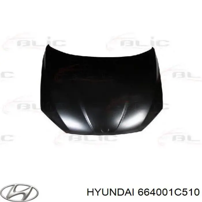 664001C500 Hyundai/Kia капот