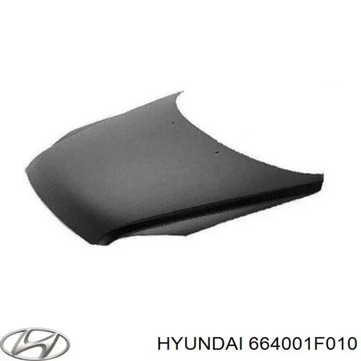 Капот Hyundai/Kia 664001F010 ціна, від 128.49 USD