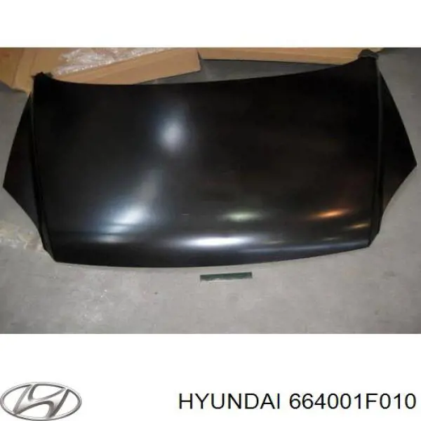 Купити 664001F010 Hyundai/Kia Капот