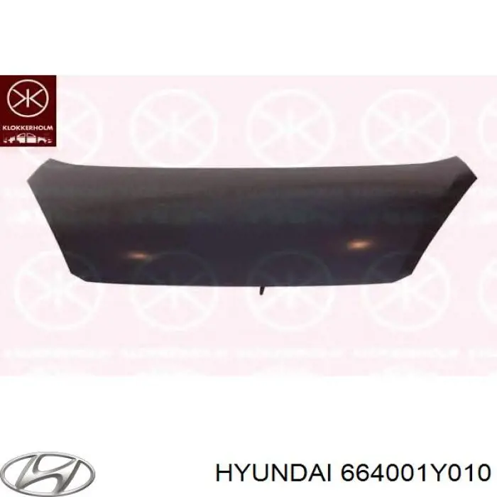 Капот Hyundai/Kia 664001Y010 ціна, від 35.07 USD