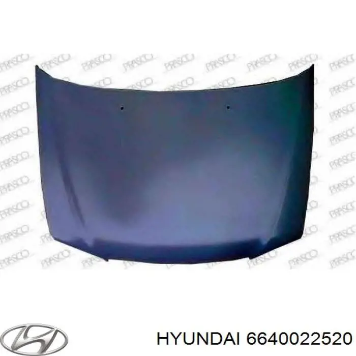 Купити 6640022520 Hyundai/Kia Капот