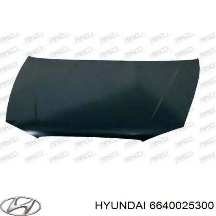 Капот Hyundai/Kia 6640025300 ціна, від 90.30 USD