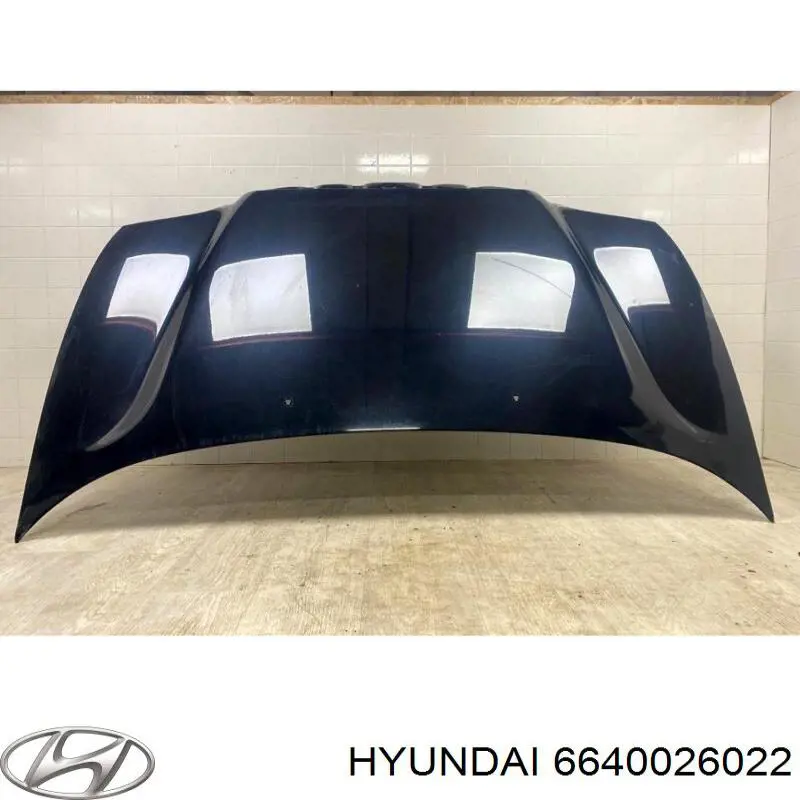 6640026022 Hyundai/Kia капот