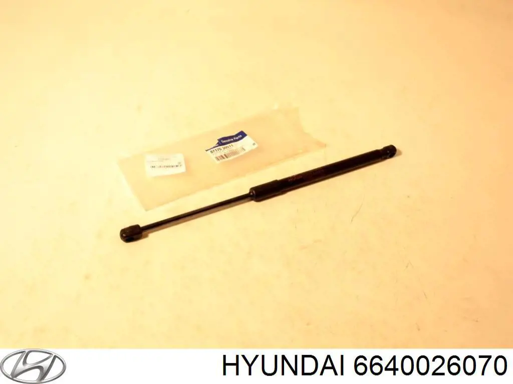 Капот Hyundai/Kia 6640026070 ціна, від 103.31 USD