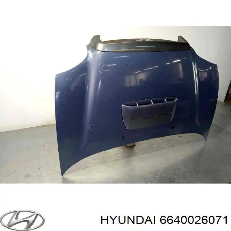 Купити 6640026071 Hyundai/Kia Капот