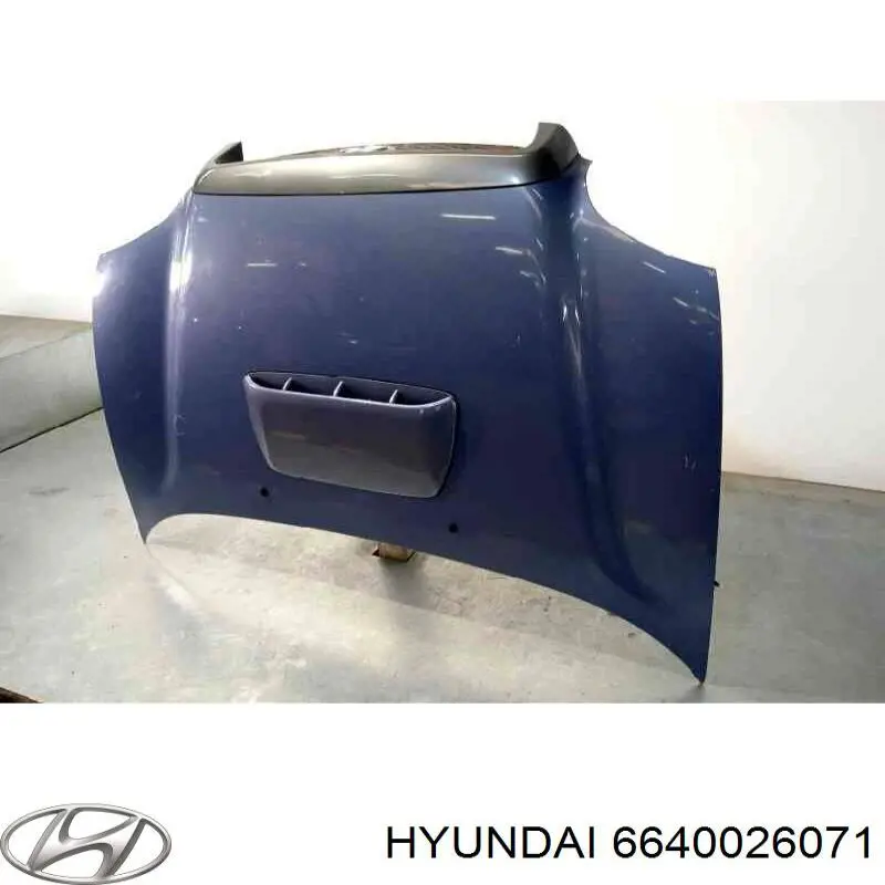 Капот Hyundai/Kia 6640026071 ціна, від 103.54 USD