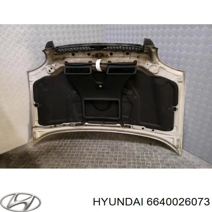 Капот Hyundai/Kia 6640026073 ціна, від 103.31 USD