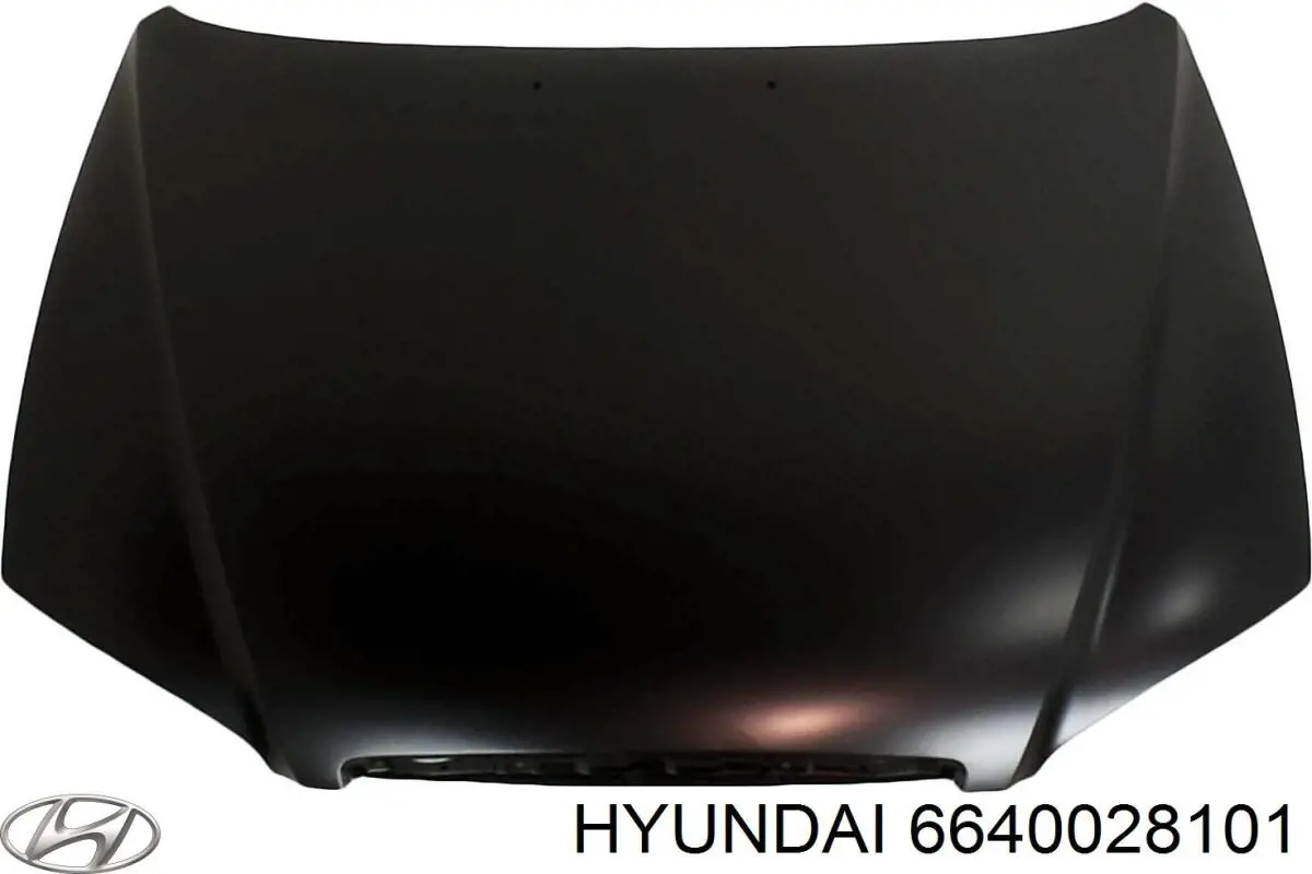 6640028101 Hyundai/Kia капот