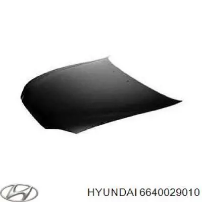 Капот Hyundai/Kia 6640029010 ціна, від 101.36 USD
