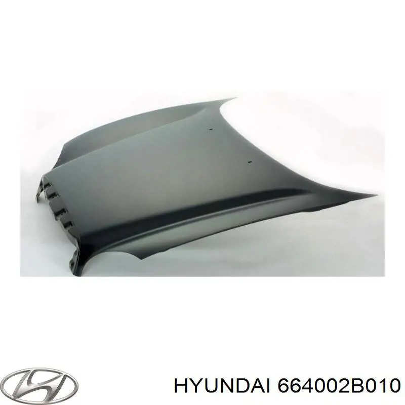 Капот Hyundai/Kia 664002B010 ціна, від 151.99 USD