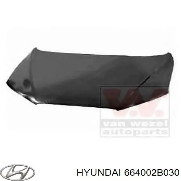 Капот Hyundai/Kia 664002B030 ціна, від 153.54 USD