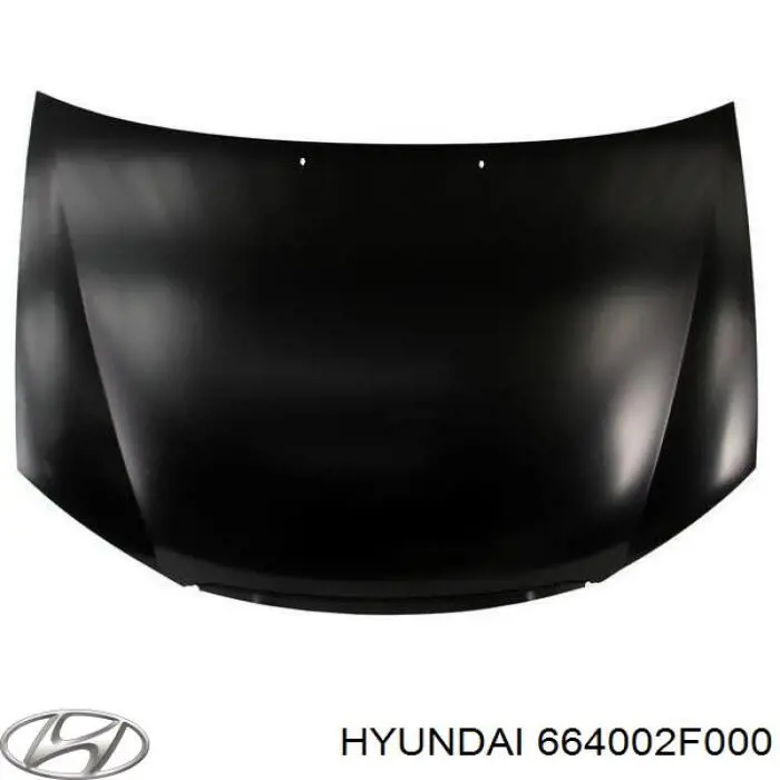 Капот Hyundai/Kia 664002F000 ціна, від 79.74 USD