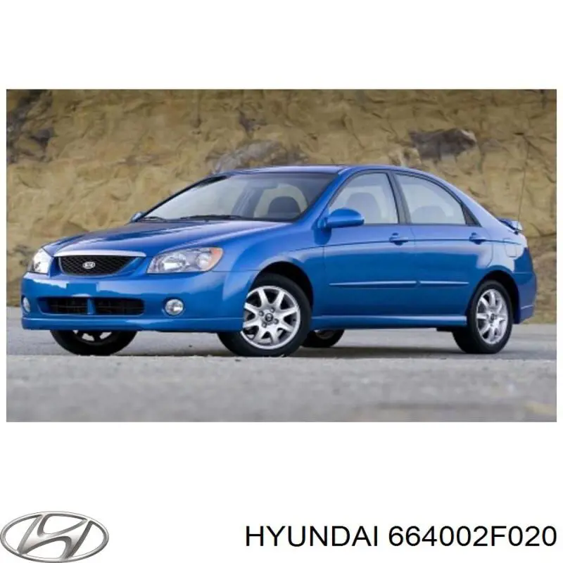 Купити 664002F020 Hyundai/Kia Капот