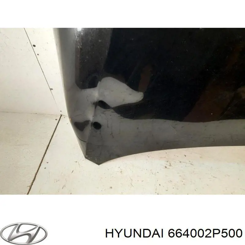 Купити 664002P500 Hyundai/Kia Капот