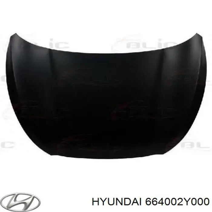 Капот Hyundai/Kia 664002Y000 ціна, від 160.41 USD