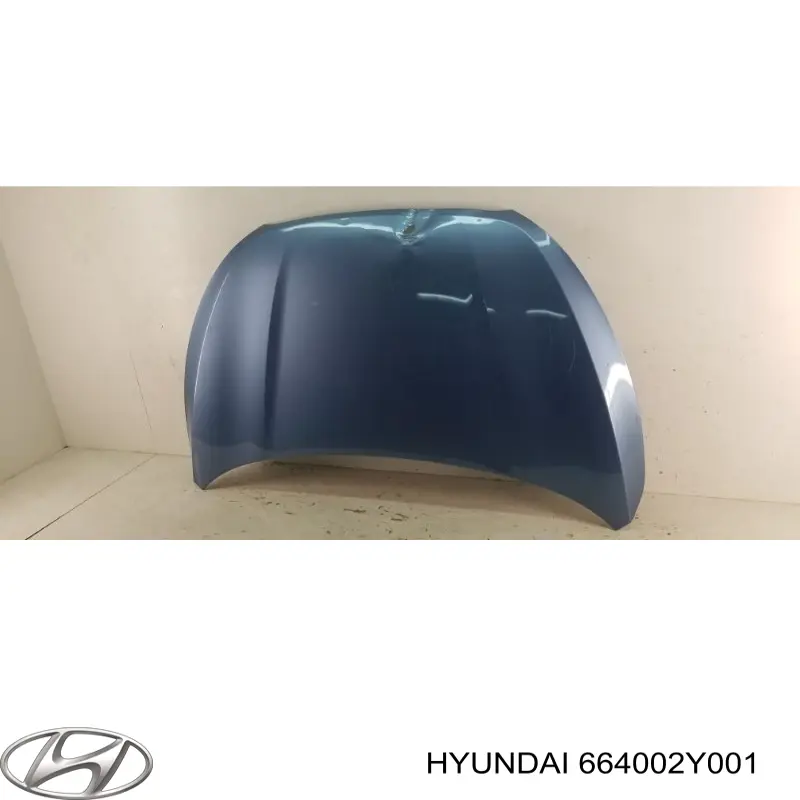 Капот Hyundai/Kia 664002Y001 ціна, від 129.94 USD