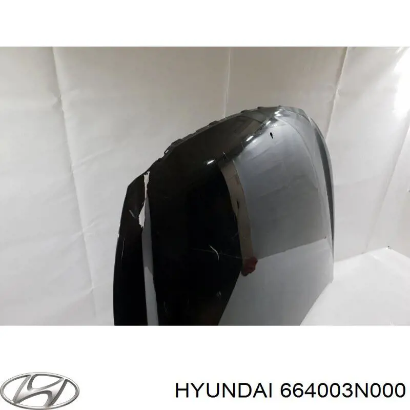 Капот на Hyundai Equus/Centennial 