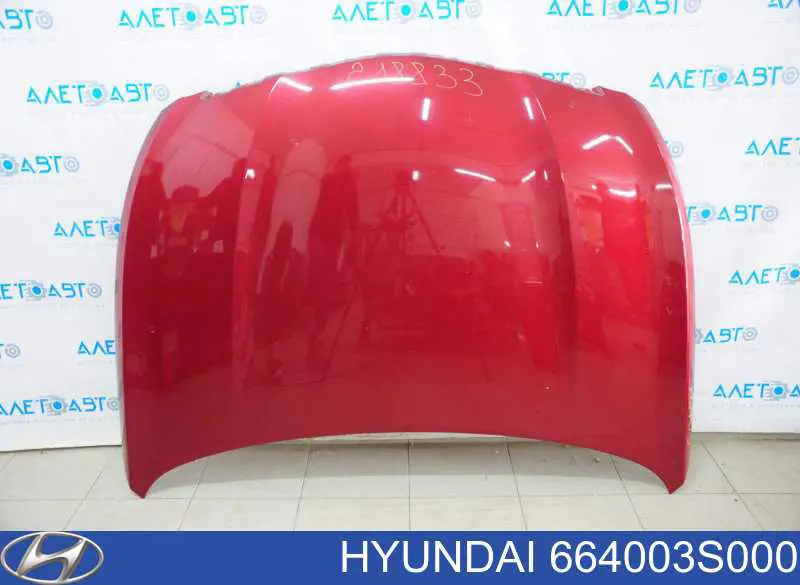SYHY008G002 Simyi Капот