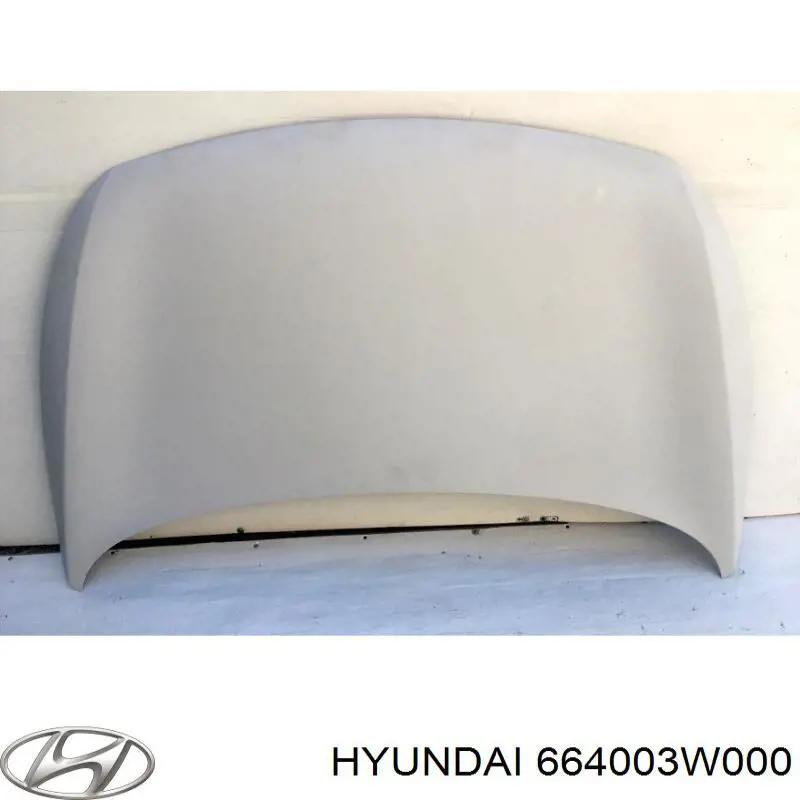 Капот Hyundai/Kia 664003W000 ціна, від 177.56 USD