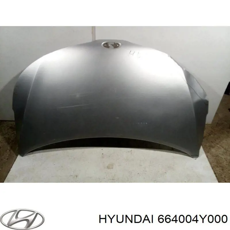 Капот Hyundai/Kia 664004Y000 ціна, від 163.03 USD