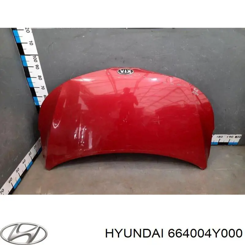 664004Y000 Hyundai/Kia капот