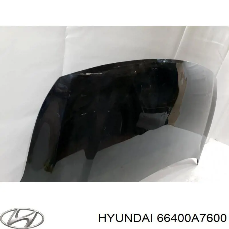 Капот Hyundai/Kia 66400A7600 ціна, від 190.04 USD