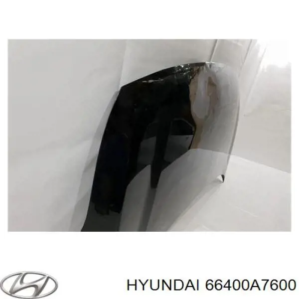 Капот 66400A7600 Hyundai/Kia