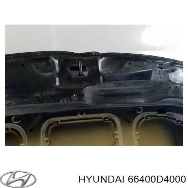Капот APKI2103 Amparts