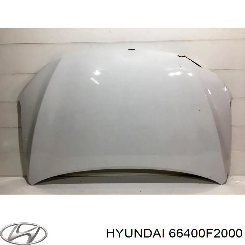 Капот Hyundai/Kia 66400F2000 ціна, від 155.17 USD