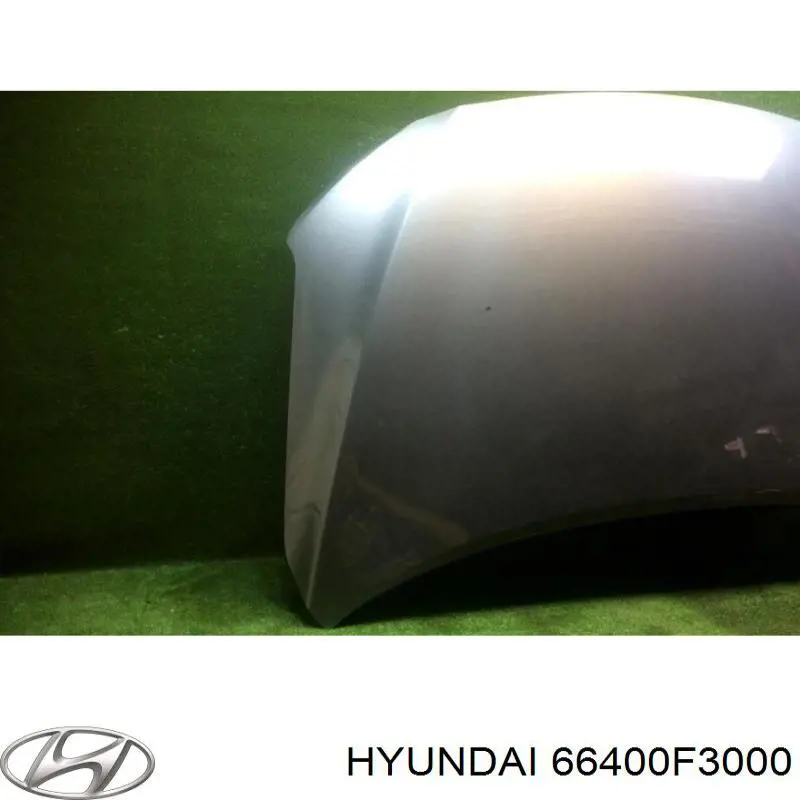 66400F3000 Hyundai/Kia капот