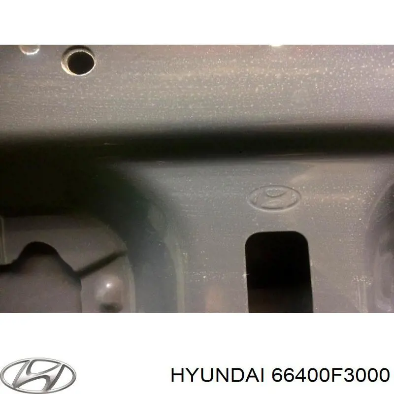 Капот Hyundai/Kia 66400F3000 ціна, від 154.82 USD