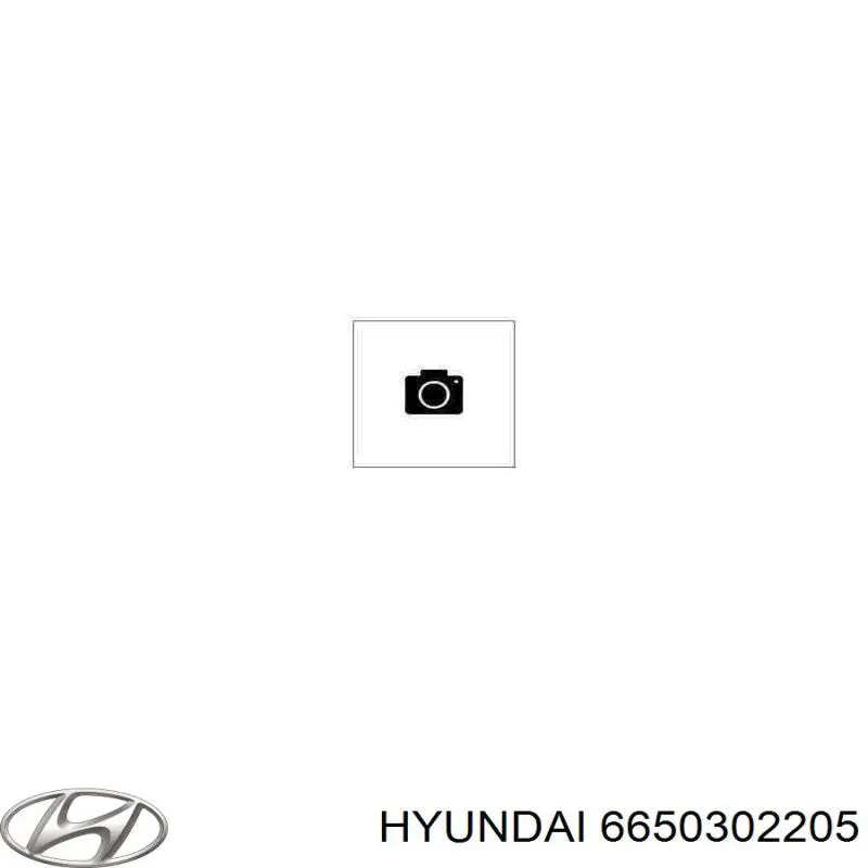 6650302205 Hyundai/Kia маховик двигуна
