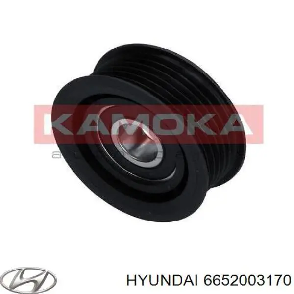 Ролик приводного ременя, паразитний Hyundai/Kia 6652003170 ціна, від 10.78 USD