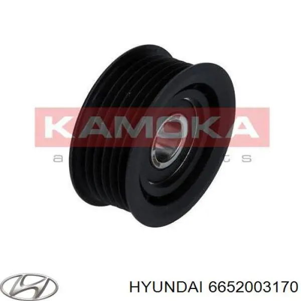 6652003170 Hyundai/Kia Ролик приводного ременя, паразитний