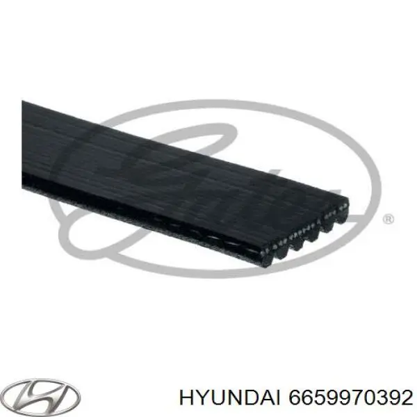 Ремінь приводний, агрегатів 6659970392 Hyundai/Kia