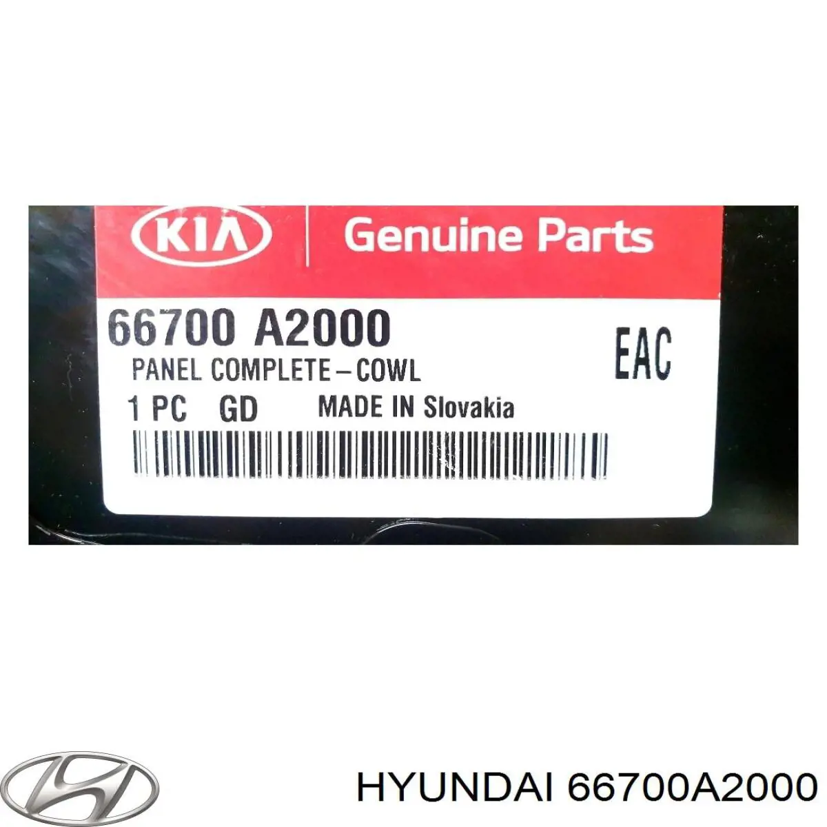 66700A2000 Hyundai/Kia 